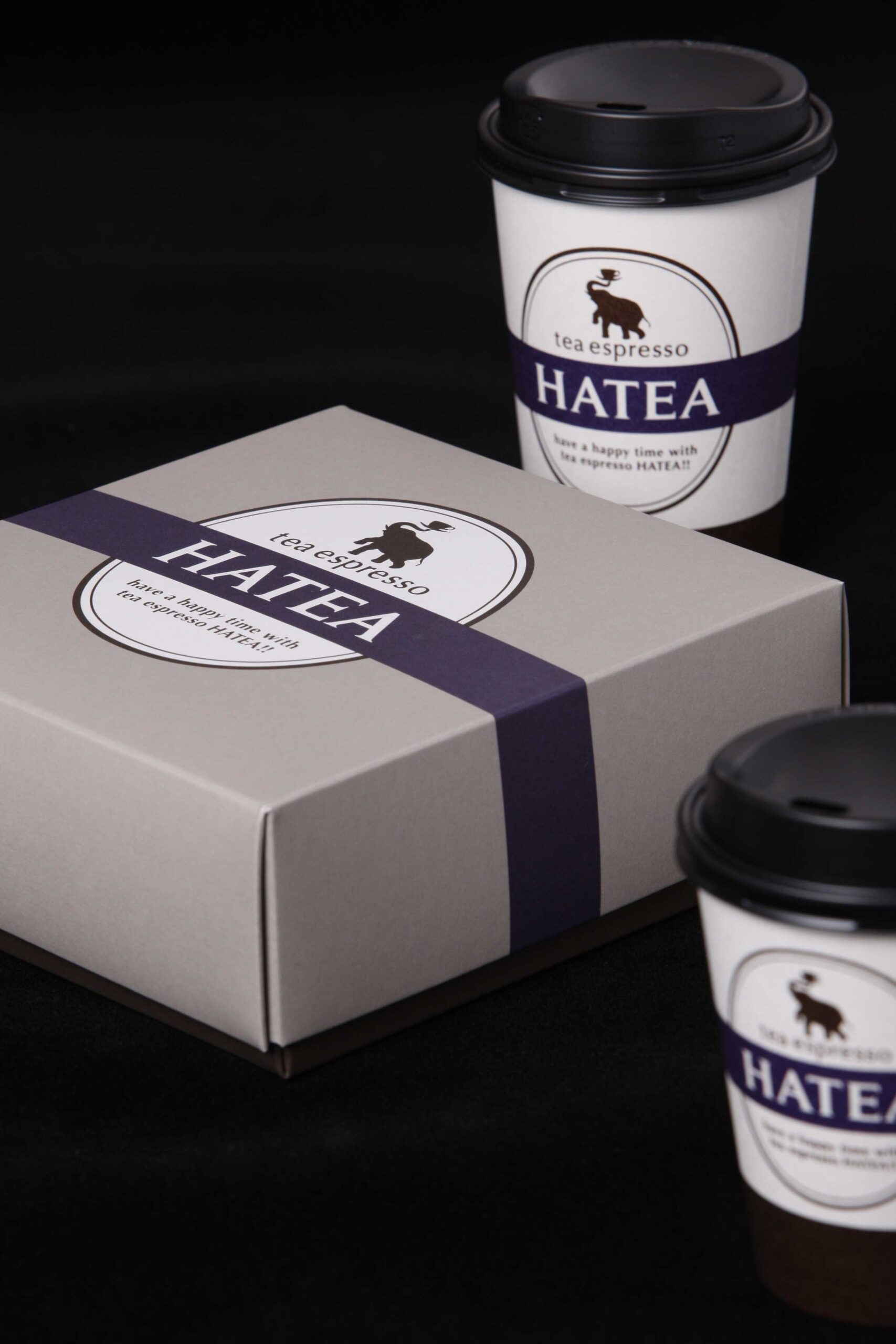 package HATEA 2008