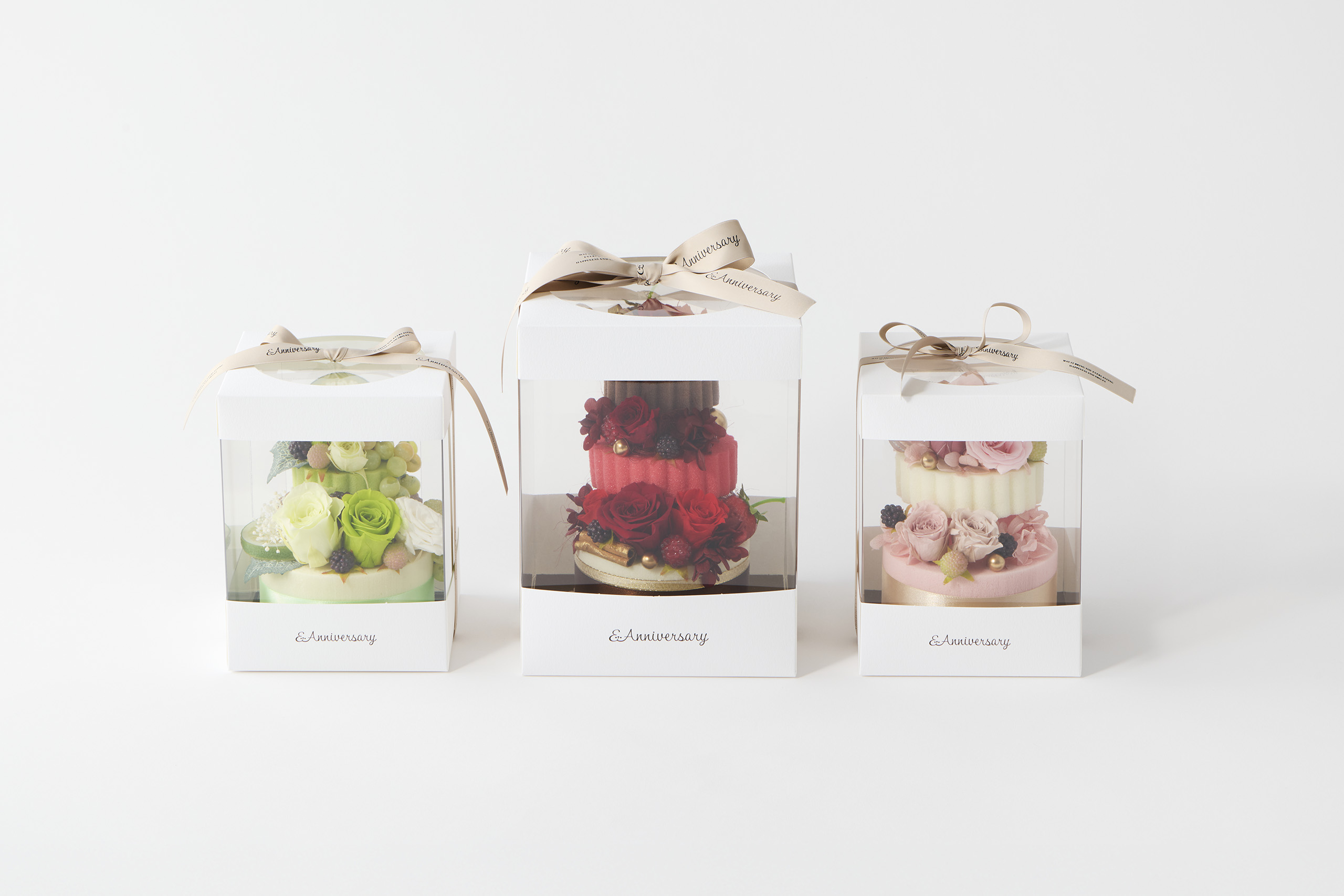 package ＆Anniversary 2025